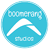 Boomerang